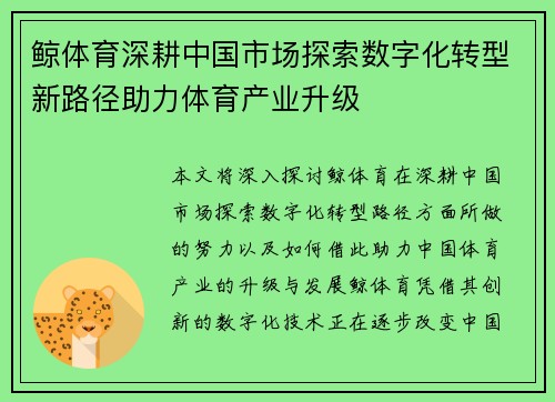 鲸体育深耕中国市场探索数字化转型新路径助力体育产业升级